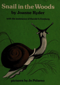 snail-in-the-woods-ryder
