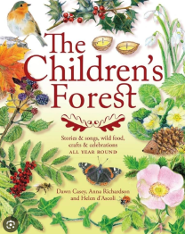 children's-forest-casey