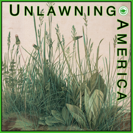 unlawn