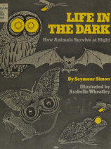 life-in-the-dark-Simon