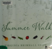 summer-walk-snow