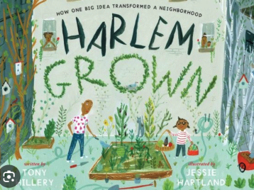 harlem-grown-hillery