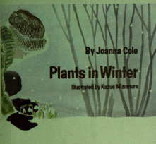 plants-in-winter-cole