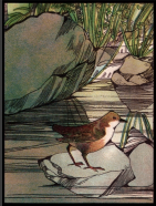 Child's-Book-of-the-Seasons-Craine-bird2
