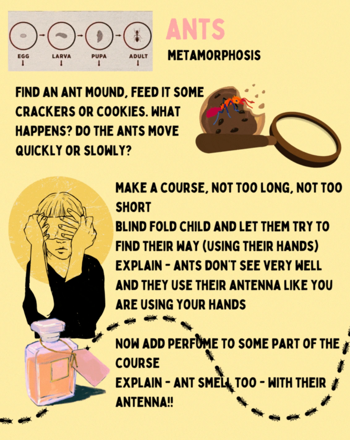 ants