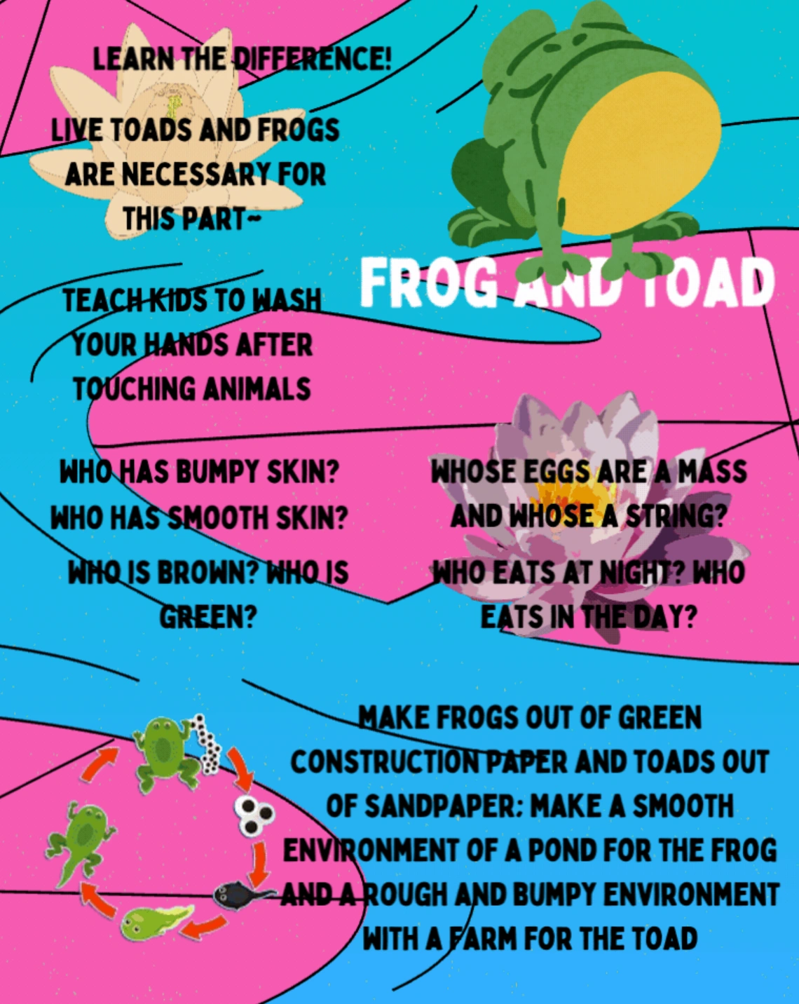 frogs