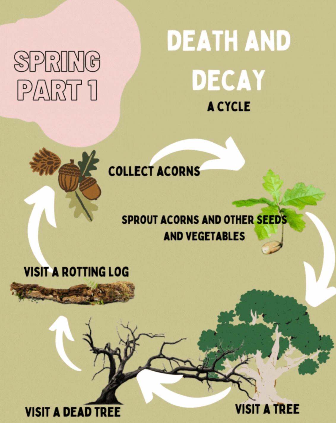spring1