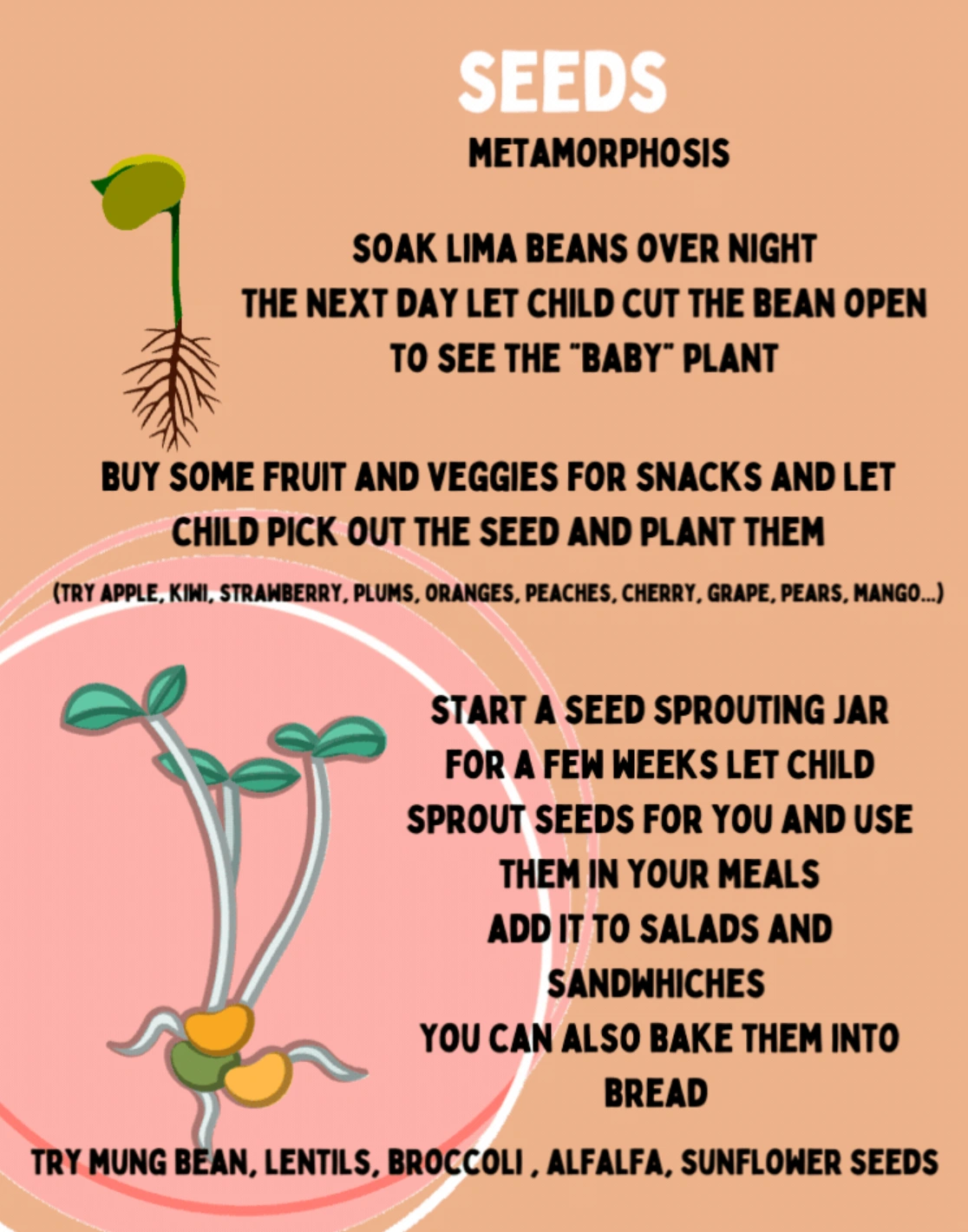 sprouts