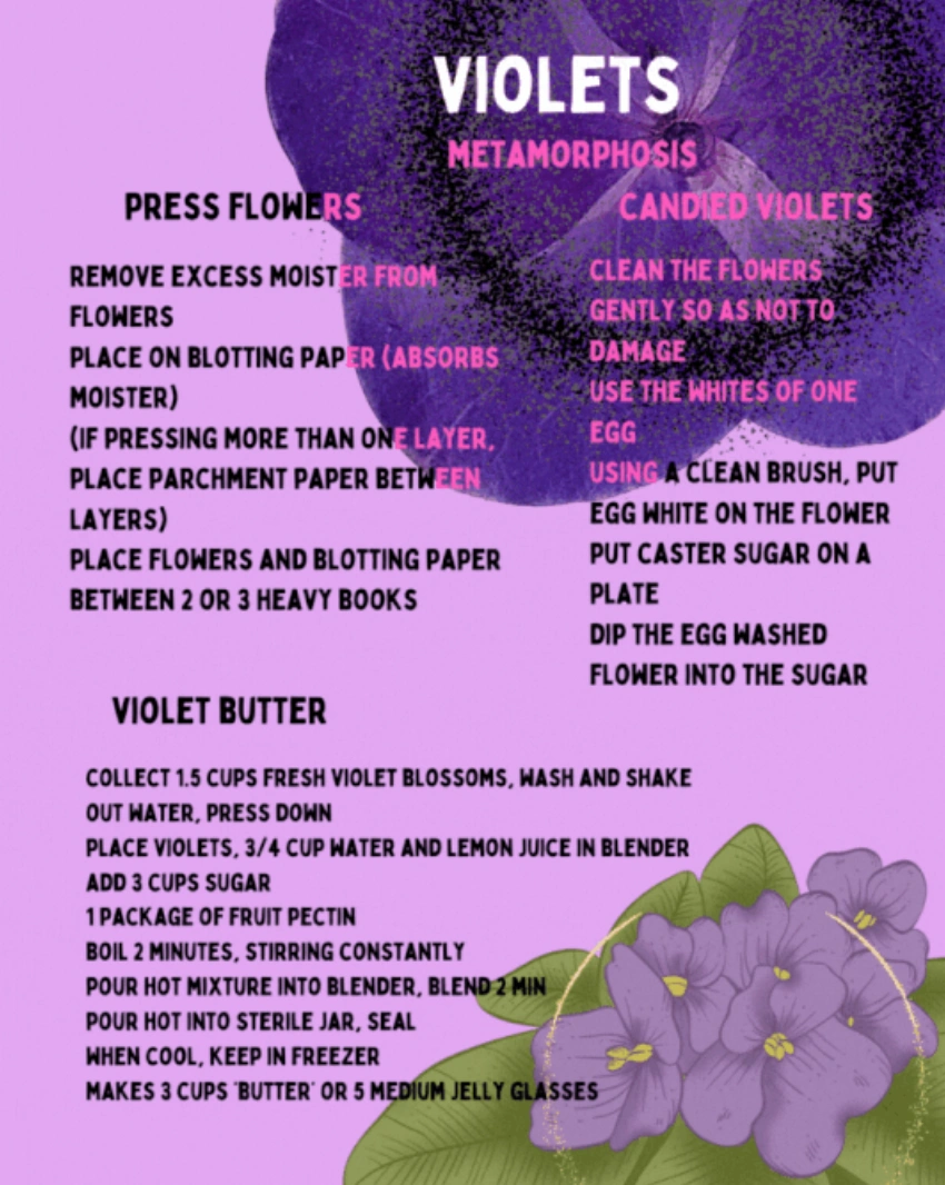 violets