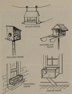 bird-feeder