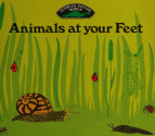 Animals-at-your-feet-althea