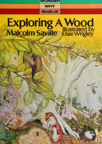 wonder-why-book-exploring-a-wood-saville