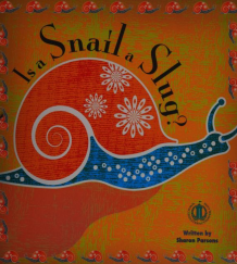 is-a-snail-a-slug-