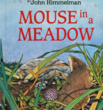 mouse-in-a-meadow-himmelman