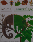 animal-camouflage-jeunesee&mettler