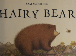 hairy-bear-mccullen