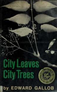 city-leaves-city-tress-gallob