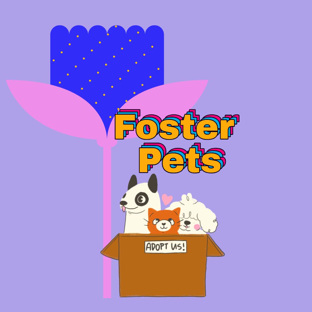 foster pet