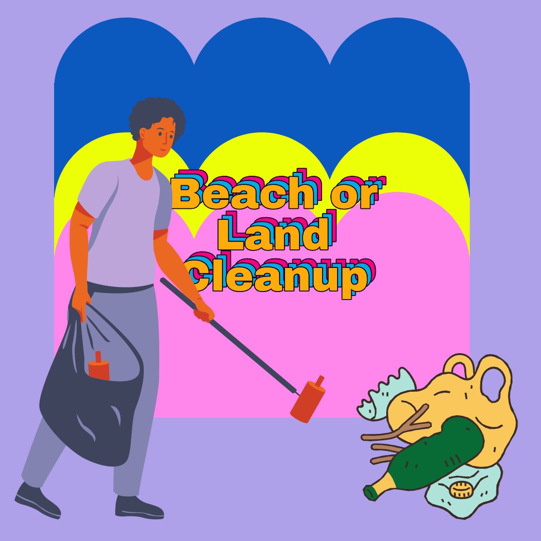 beach clean up