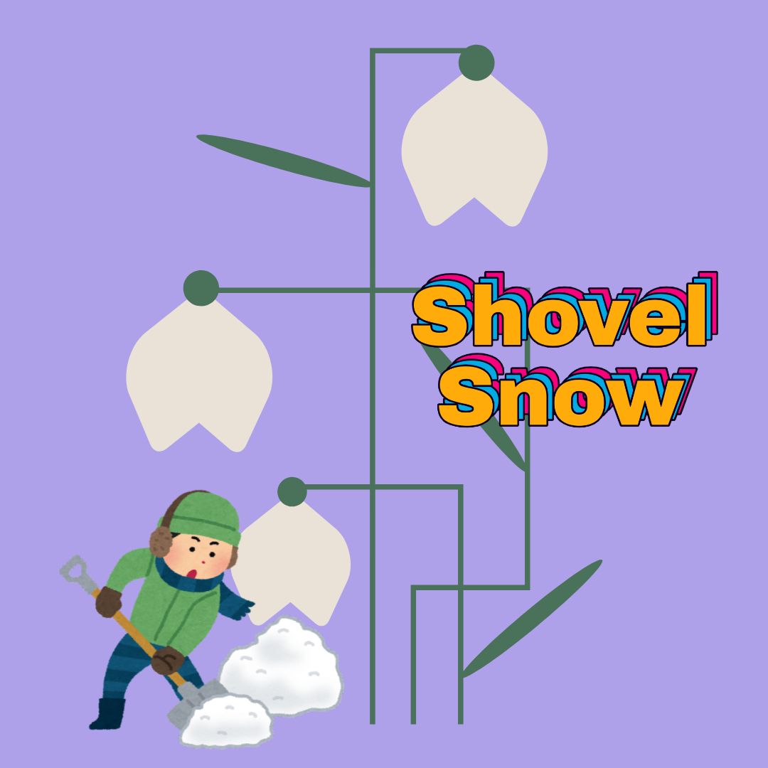 shovel snow