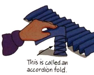 accordion