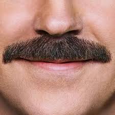 Mustache from the show